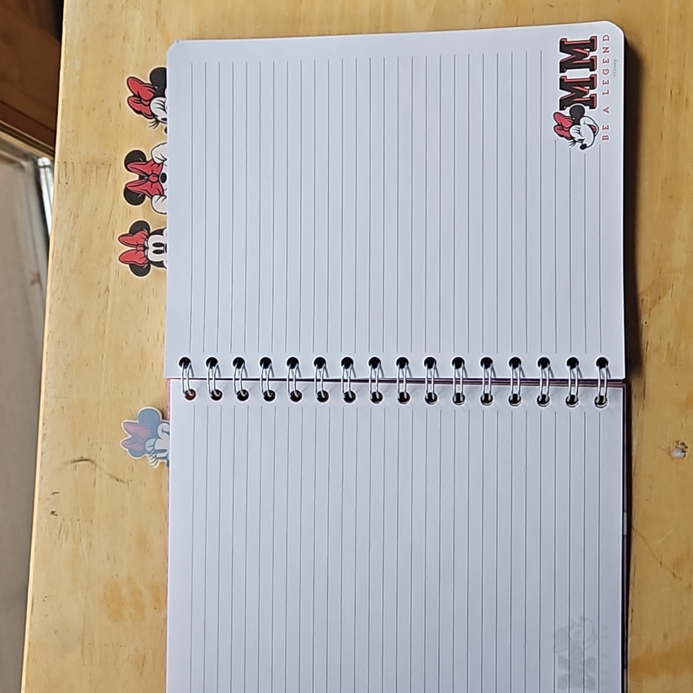 MINNIE MOUSE JOURNAL - Picture 4 of 12